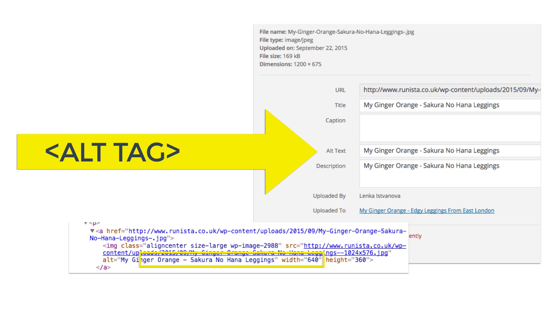 On-Page SEO Tips for Adventure and Outdoor Bloggers and Influencers - Alt Tag - Image Alt Tags
